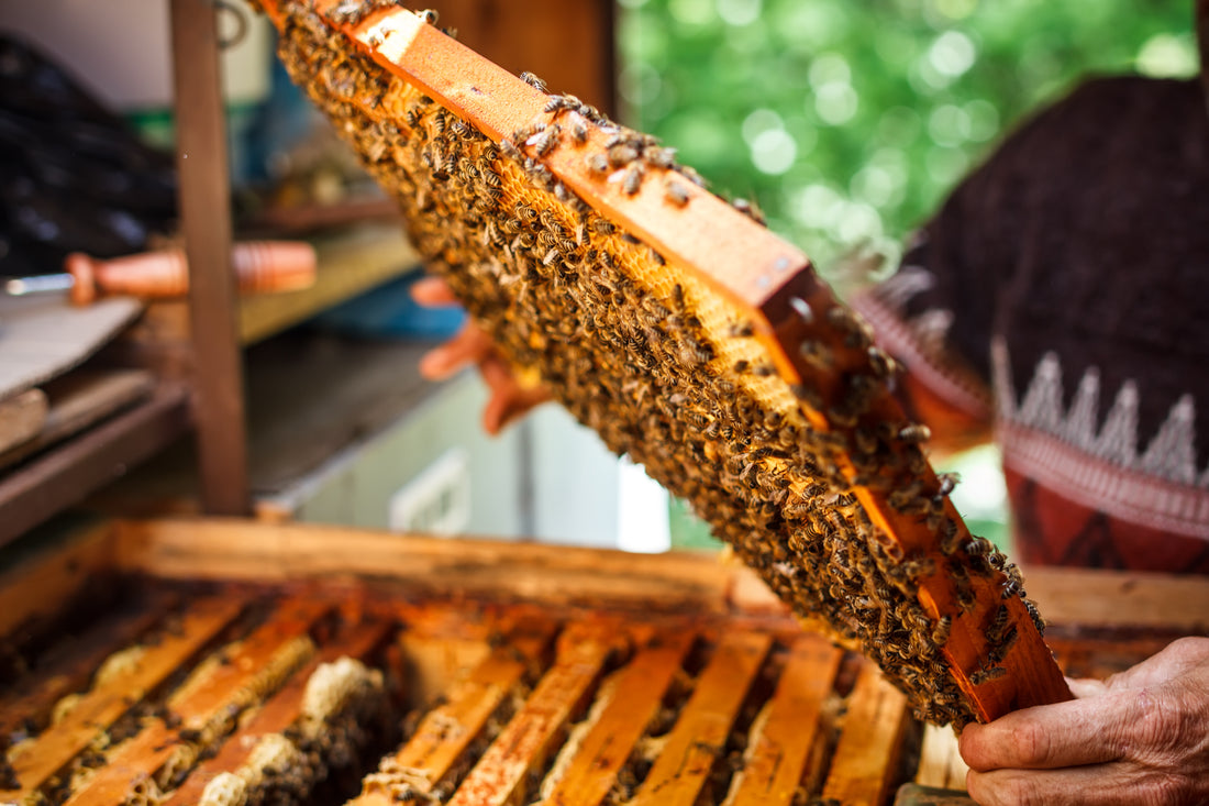 A Deep Dive into the Nutritional Profile of Raw Honey